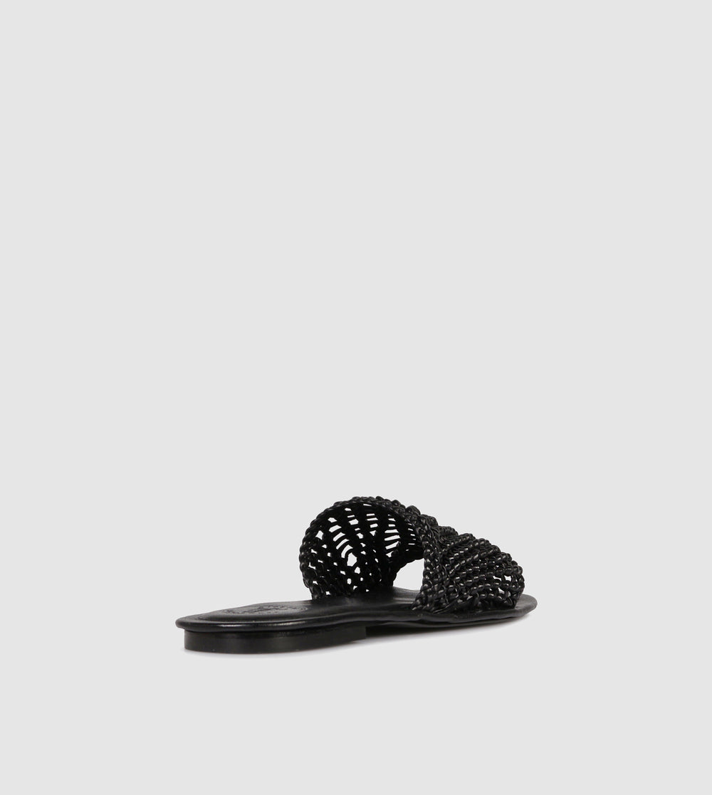 Lexia Slides by Beau Coops