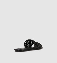 Lexia Slides by Beau Coops