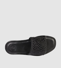 Lexia Slides by Beau Coops