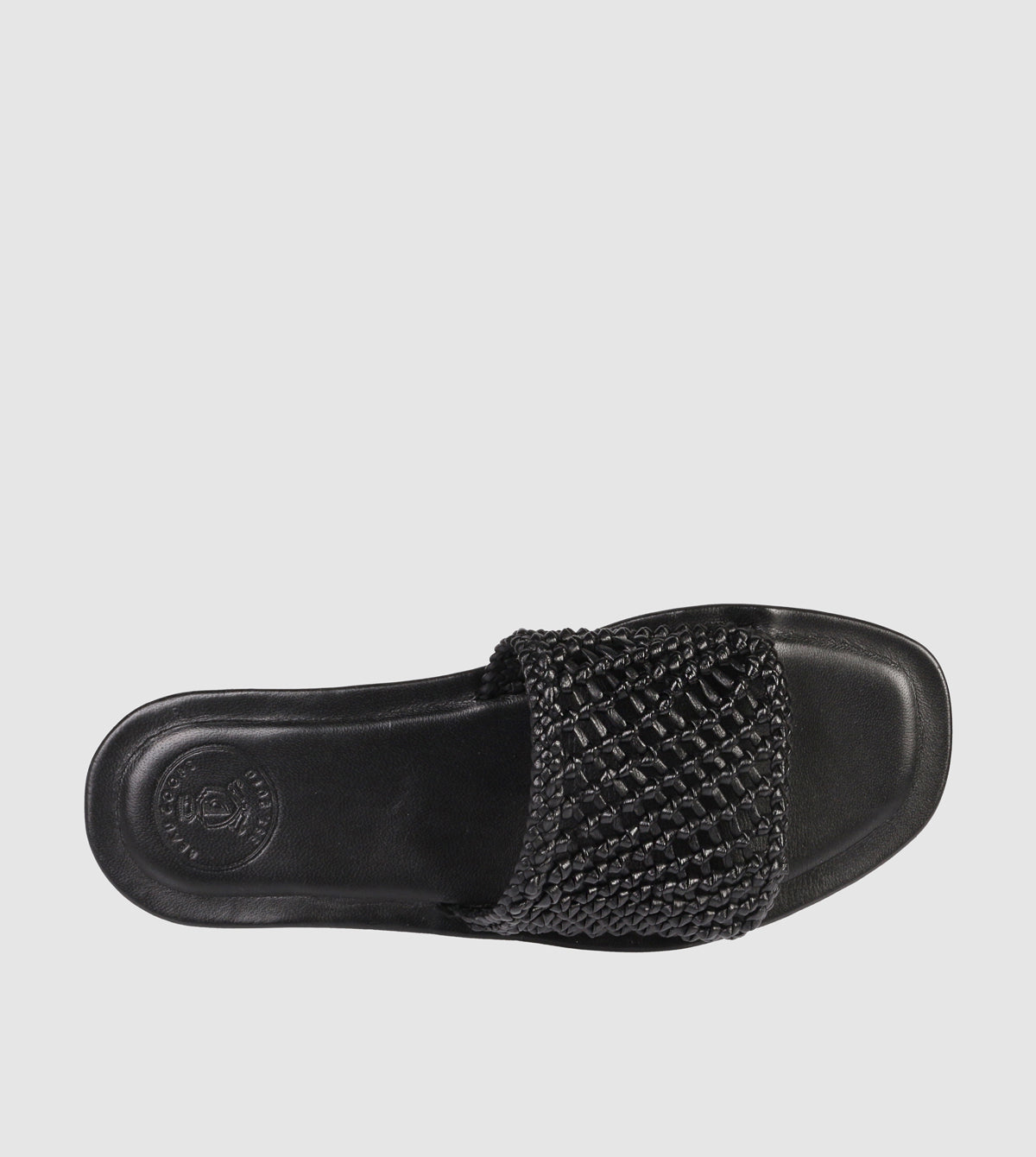 Lexia Slides by Beau Coops