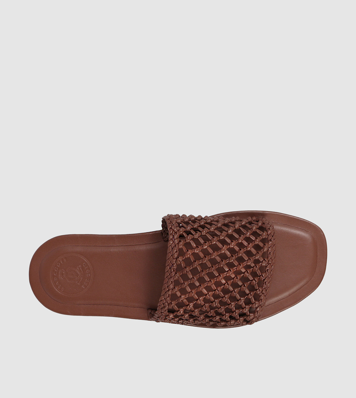 Lexia Slides by Beau Coops