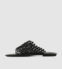 Nesso Slides by Beau Coops