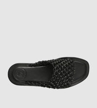 Nesso Slides by Beau Coops